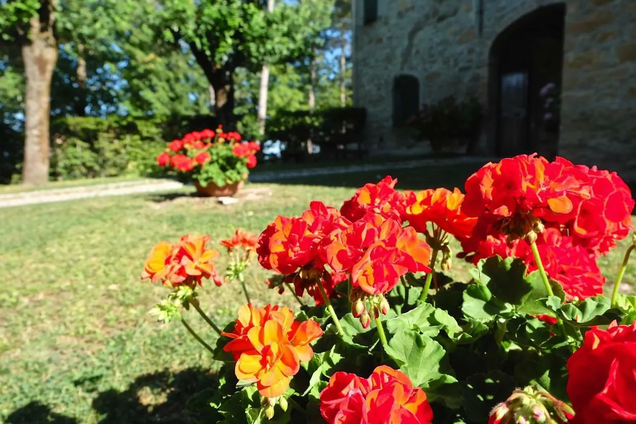 Bed & Breakfast La Corte Bonomini Neviano degli Arduini