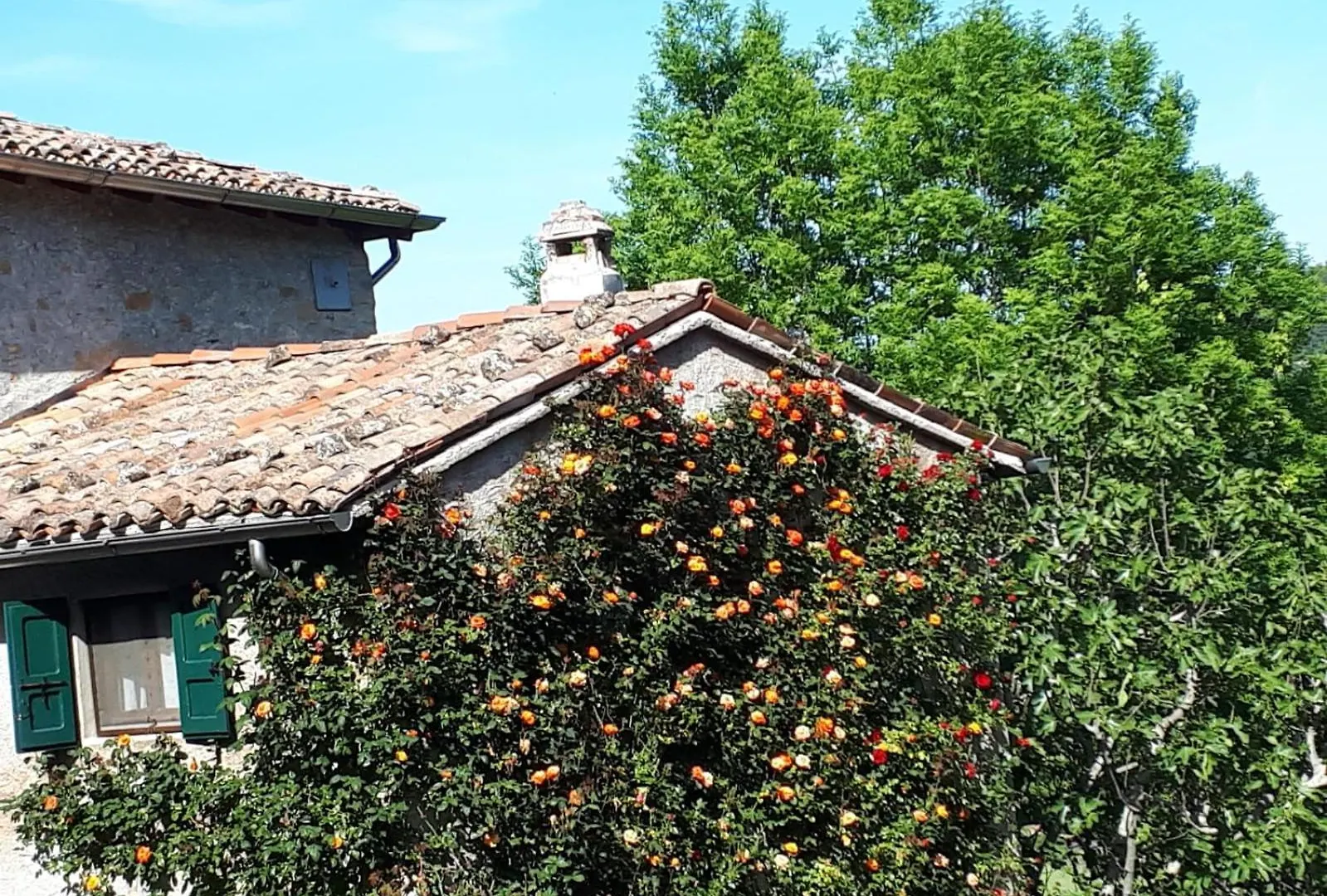 Bed & Breakfast La Corte Bonomini Neviano degli Arduini